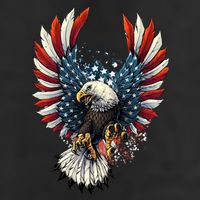 American Flag Bald Eagle 4th Of July USA Patriotic Adult Drive Performance Visor