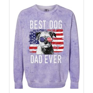 American Flag Best Dog Dad Ever Border Terrier Usa Colorblast Crewneck Sweatshirt