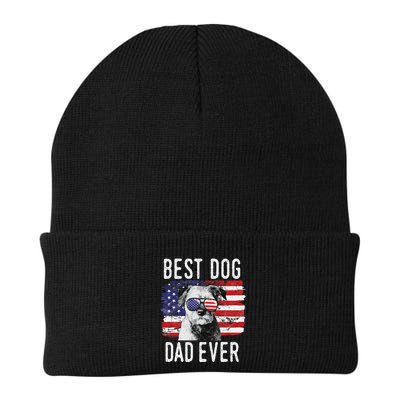 American Flag Best Dog Dad Ever Border Terrier Usa Beanie