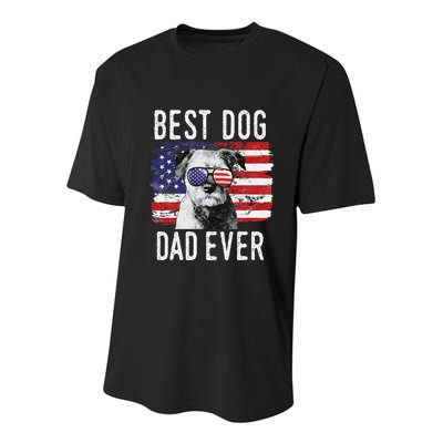American Flag Best Dog Dad Ever Border Terrier Usa Youth Performance Sprint T-Shirt