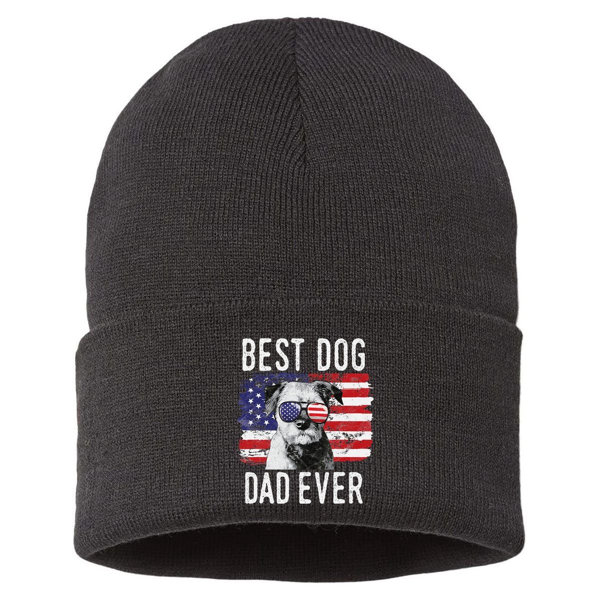 American Flag Best Dog Dad Ever Border Terrier Usa Sustainable Knit Beanie