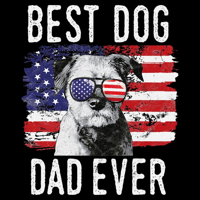 American Flag Best Dog Dad Ever Border Terrier Usa Toddler T-Shirt