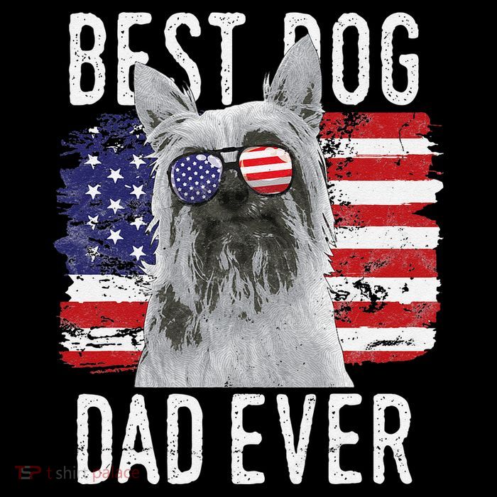 American Flag Best Dog Dad Ever Silky Terriers Usa Women's V-Neck T-Shirt