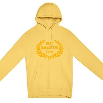 Award For Best Sitter Cool Gift Premium Pullover Hoodie