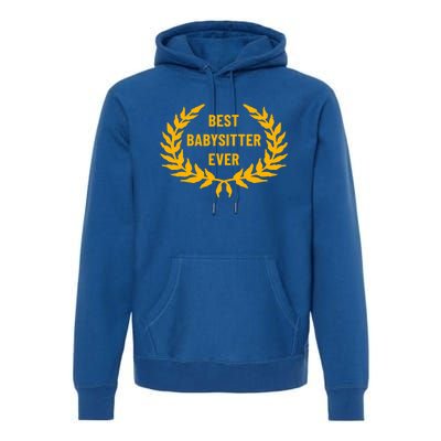 Award For Best Sitter Cool Gift Premium Hoodie