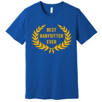 Award For Best Sitter Cool Gift Premium T-Shirt