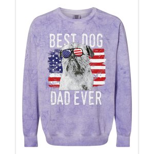 American Flag Best Dog Dad Ever Brussels Griffon Usa Colorblast Crewneck Sweatshirt