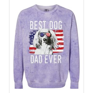 American Flag Best Dog Dad Ever Dachshund Usa Colorblast Crewneck Sweatshirt