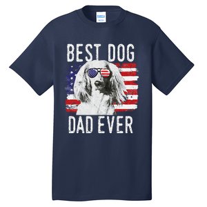 American Flag Best Dog Dad Ever Dachshund Usa Tall T-Shirt