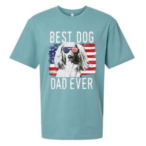 American Flag Best Dog Dad Ever Dachshund Usa Sueded Cloud Jersey T-Shirt