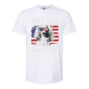 American Flag Best Dog Dad Ever Dachshund Usa Softstyle CVC T-Shirt