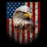 American Flag Bald Eagle Patriotic Red White Blue Cooling Performance Crew T-Shirt