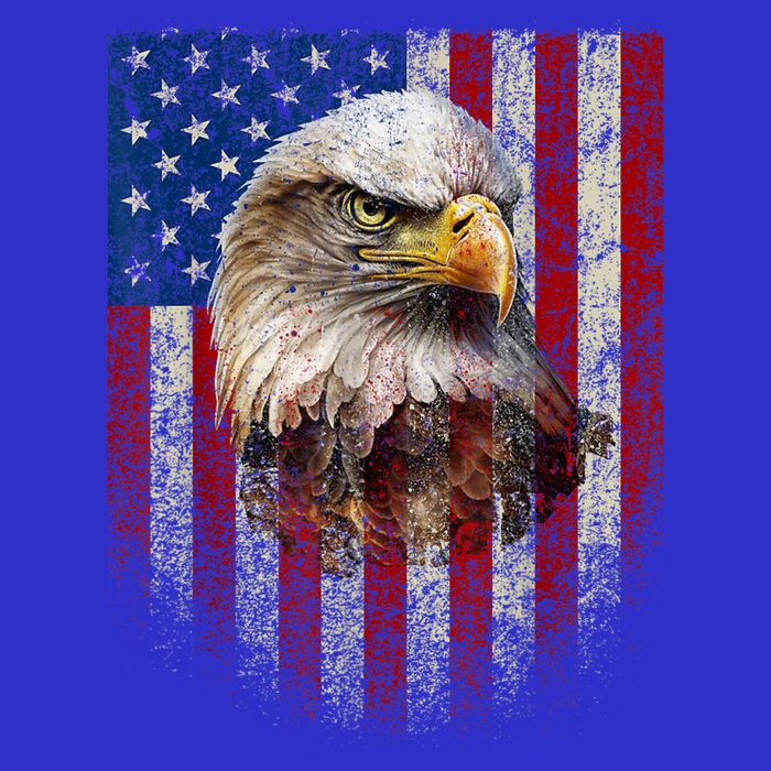 American Flag Bald Eagle Patriotic Red White Blue 16 in Basic Backpack