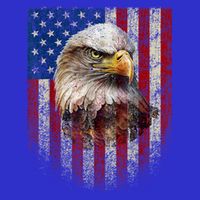 American Flag Bald Eagle Patriotic Red White Blue Poster