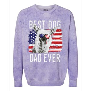 American Flag Best Dog Dad Ever Chinese Crested Usa Colorblast Crewneck Sweatshirt