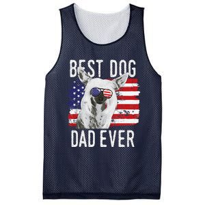 American Flag Best Dog Dad Ever Chinese Crested Usa Mesh Reversible Basketball Jersey Tank