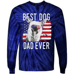 American Flag Best Dog Dad Ever Chinese Crested Usa Tie-Dye Long Sleeve Shirt