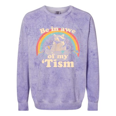 Autism Funny Be In Awe Of My Tism Meme Autistic Opossum Colorblast Crewneck Sweatshirt