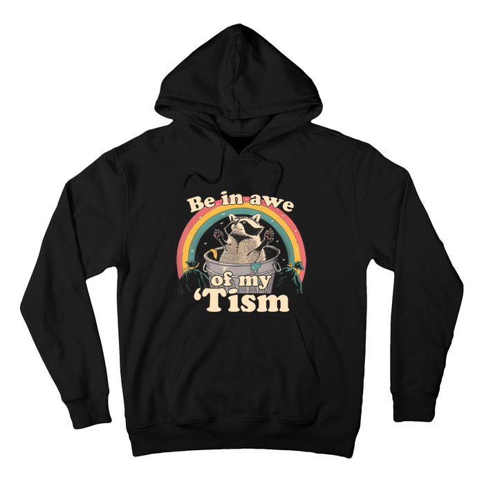 Autism Funny Be In Awe Of My Tism Meme Autistic Opossum Hoodie