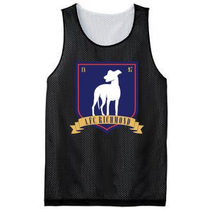 AFC Richmond Hounds Mesh Reversible Basketball Jersey Tank