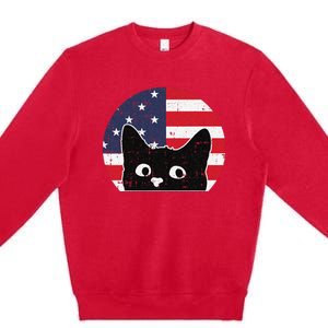 American Flag Cat 4th Of July Kitten Patriotic Pet Lover Premium Crewneck Sweatshirt