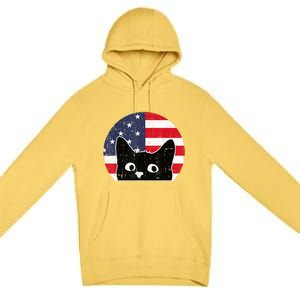 American Flag Cat 4th Of July Kitten Patriotic Pet Lover Premium Pullover Hoodie