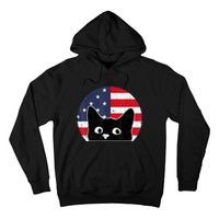 American Flag Cat 4th Of July Kitten Patriotic Pet Lover Hoodie