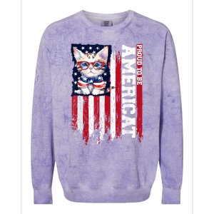 American Flag Cat 4th Of July Kitten Patriotic Pet Lover Pun Colorblast Crewneck Sweatshirt