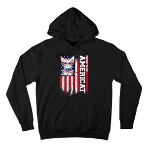 American Flag Cat 4th Of July Kitten Patriotic Pet Lover Pun Hoodie