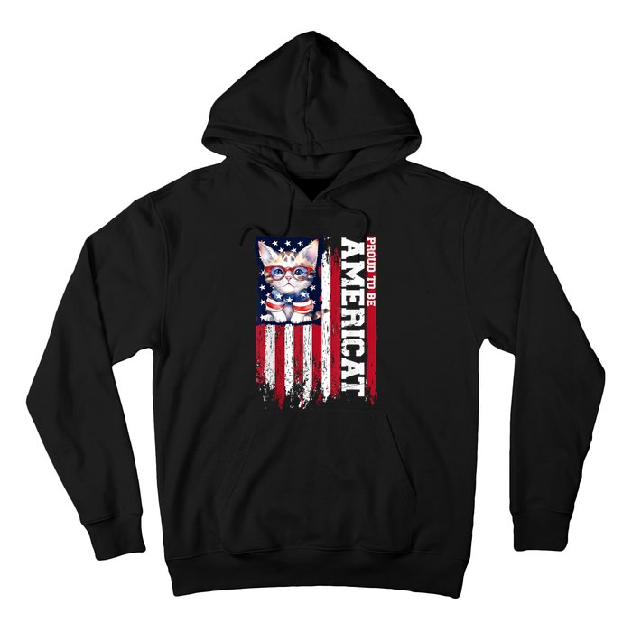 American Flag Cat 4th Of July Kitten Patriotic Pet Lover Pun Hoodie