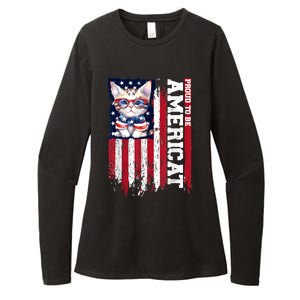 American Flag Cat 4th Of July Kitten Patriotic Pet Lover Pun Womens CVC Long Sleeve Shirt