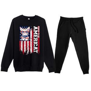 American Flag Cat 4th Of July Kitten Patriotic Pet Lover Pun Premium Crewneck Sweatsuit Set