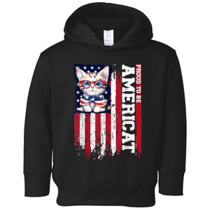 American Flag Cat 4th Of July Kitten Patriotic Pet Lover Pun Toddler Hoodie