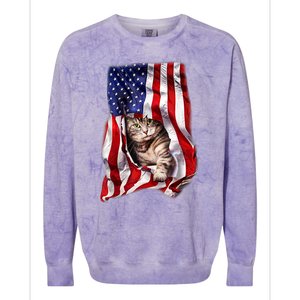 American Flag Cat 4th Of July Kitten Patriotic Pet Lover Colorblast Crewneck Sweatshirt