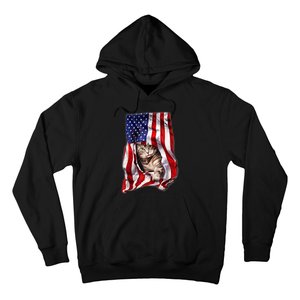 American Flag Cat 4th Of July Kitten Patriotic Pet Lover Hoodie