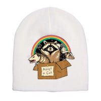 Adopt Forbidden Cats In Box Raccoon Skunks Possum Cat Lovers  Short Acrylic Beanie