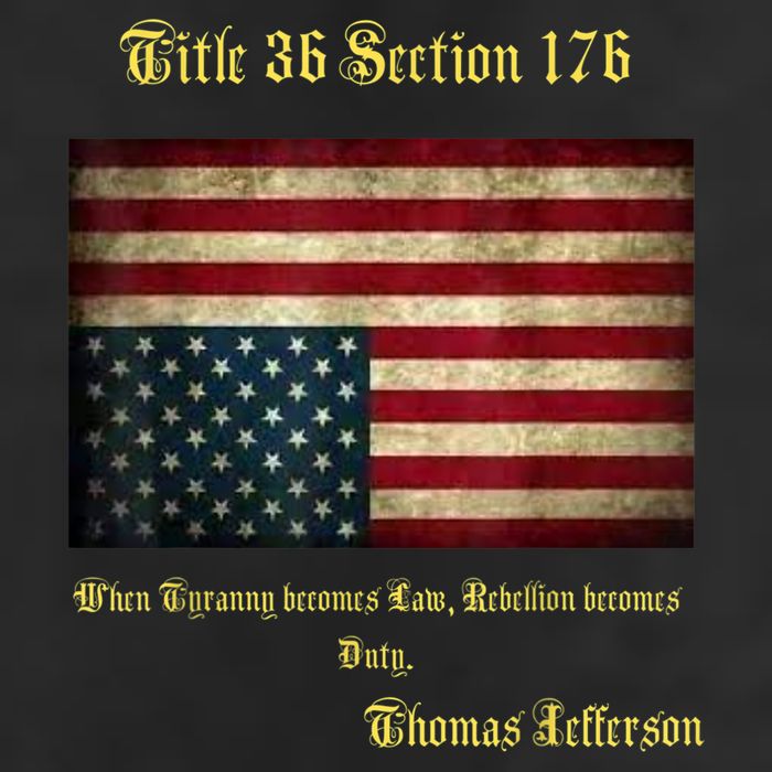 American Flag Distress Upside Down Thomas Jefferson Patriot Adult Drive Performance Visor