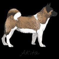 Akita Fun Doggy Women's V-Neck T-Shirt