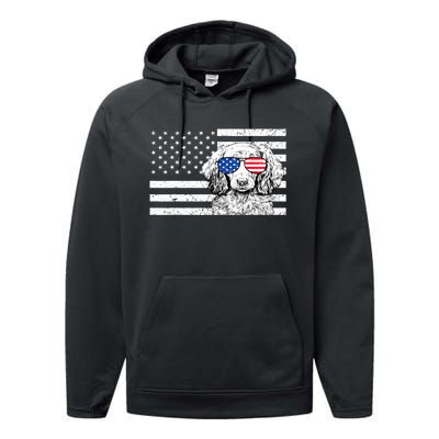 American Flag Dachshund Weiner Dog Us Patriotic Gift Performance Fleece Hoodie