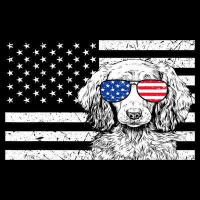 American Flag Dachshund Weiner Dog Us Patriotic Gift T-Shirt