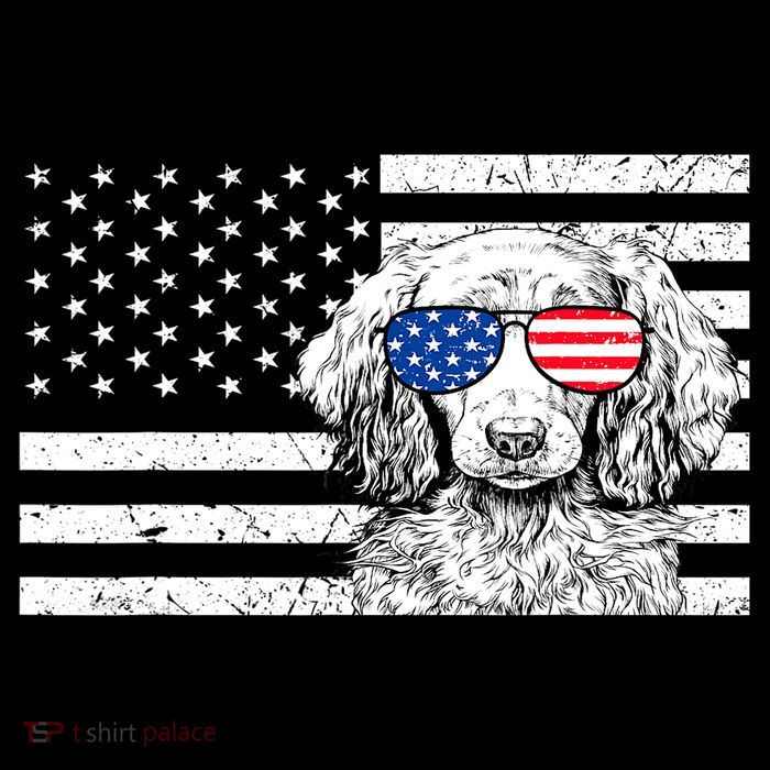 American Flag Dachshund Weiner Dog Us Patriotic Gift T-Shirt