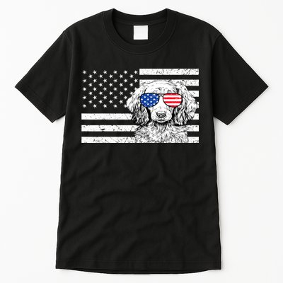 American Flag Dachshund Weiner Dog Us Patriotic Gift Tall T-Shirt