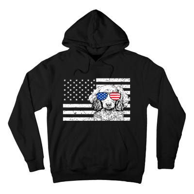 American Flag Dachshund Weiner Dog Us Patriotic Gift Tall Hoodie