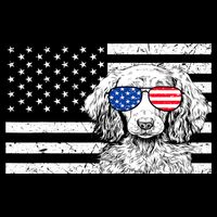 American Flag Dachshund Weiner Dog Us Patriotic Gift Tank Top