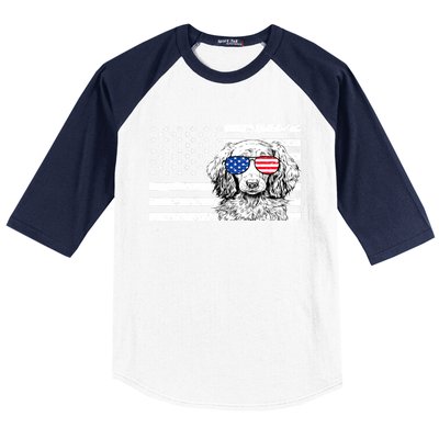 American Flag Dachshund Weiner Dog Us Patriotic Gift Baseball Sleeve Shirt