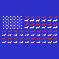 American Flag Dachshund Patriotic Dachshund  Zip Tote Bag