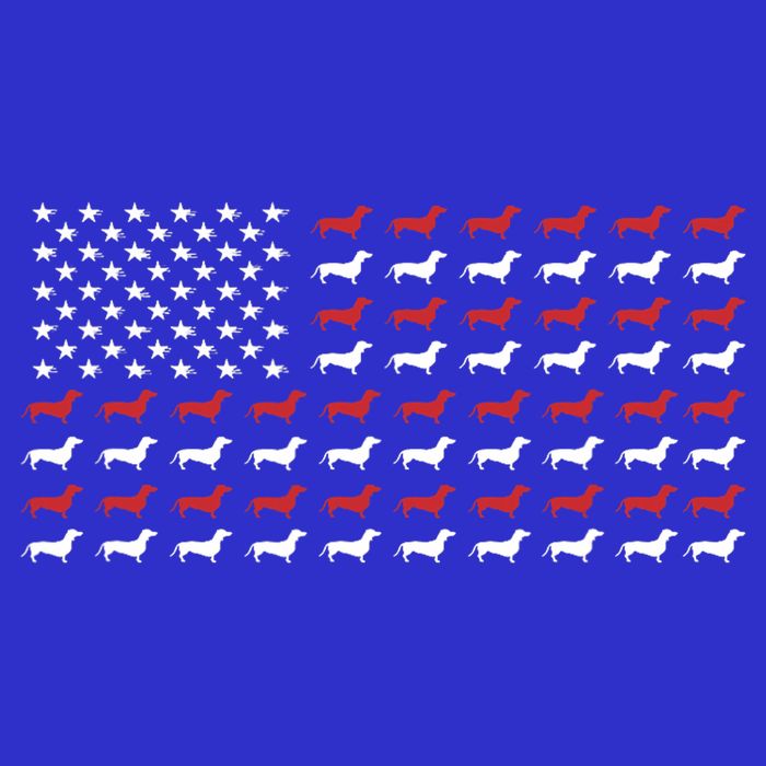 American Flag Dachshund Patriotic Dachshund  Zip Tote Bag