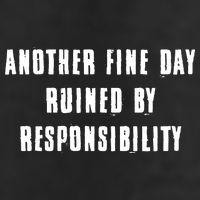 Another Fine Day Ruined By Responsibility Adult Drive Performance Visor