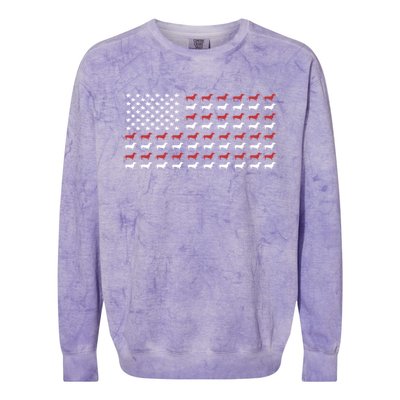 American Flag Dachshund Patriotic Dachshund Doxie Lover Cool Gift Colorblast Crewneck Sweatshirt