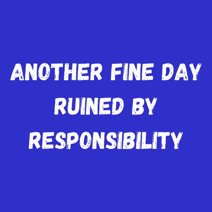 Another Fine Day Ruined By Responsibility Funny Short Acrylic Beanie